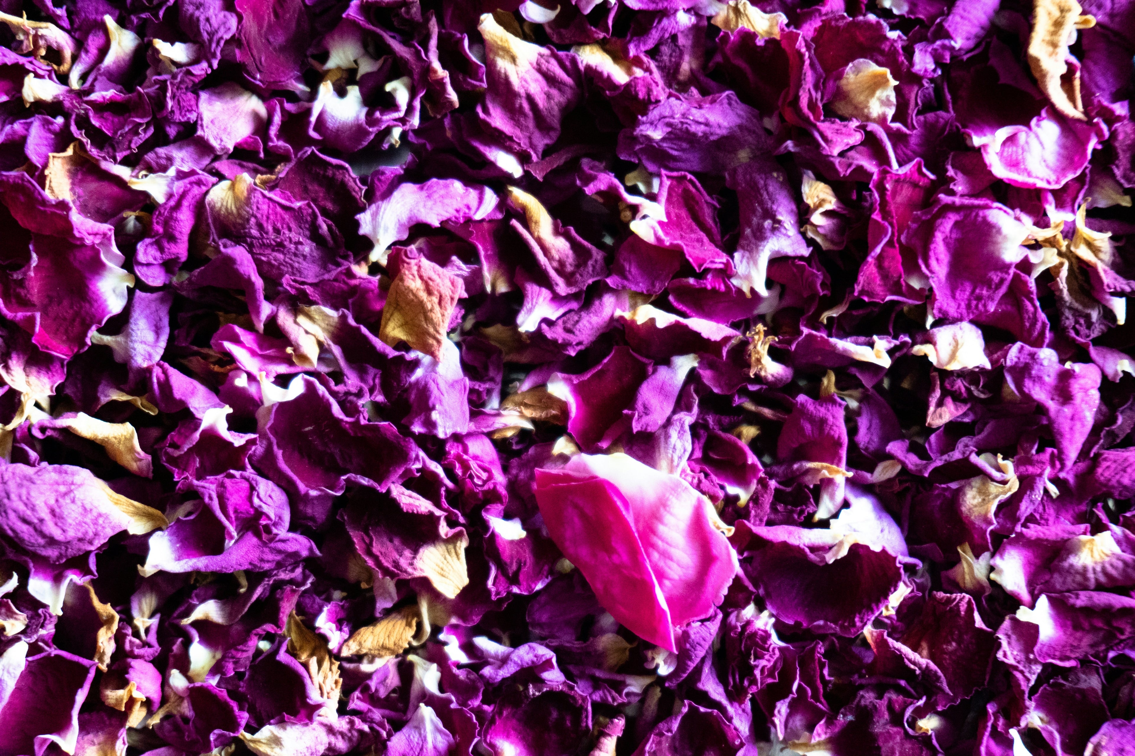 PURPLE RAIN